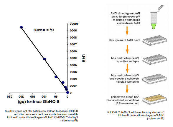 P-6004:8-OHdG DNA损伤直接定量试剂盒