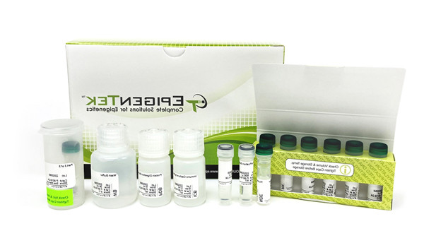 m6A RNA甲基化片段富集试剂盒