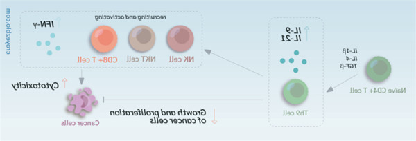 IL-1β如何用于细胞治疗