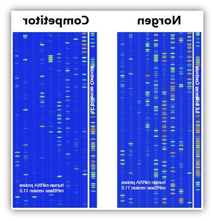 microRNA-4.png