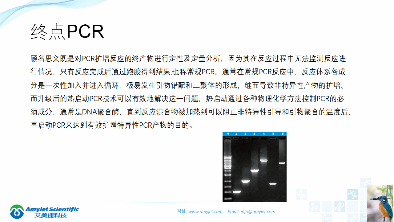 202006-PCR背景与解决方案_12.png