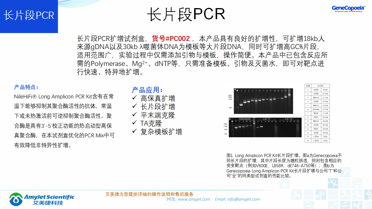 202006-PCR背景与解决方案_19.png