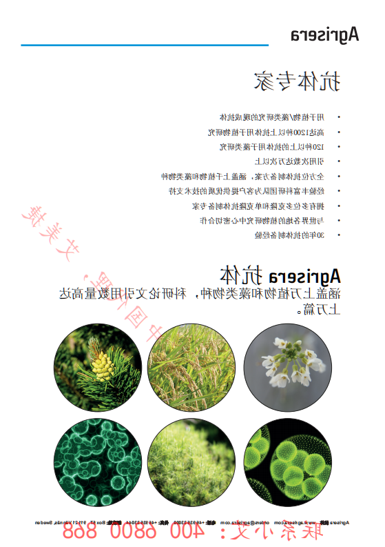 植物WB指南-中文版-艾美捷_01.png
